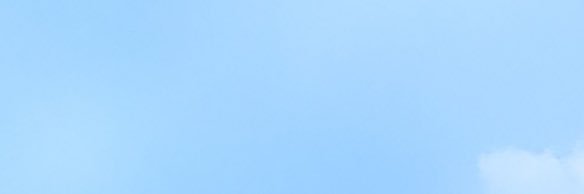 냐냐 banner