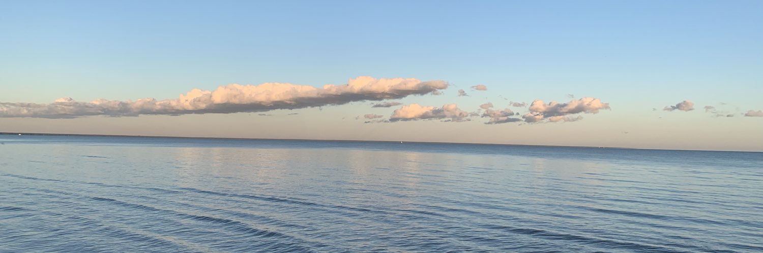 koivisto_jari's profile banner image