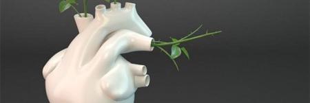 rkadam71's profile banner image