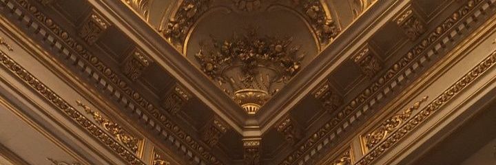 goldveilvows's profile banner image