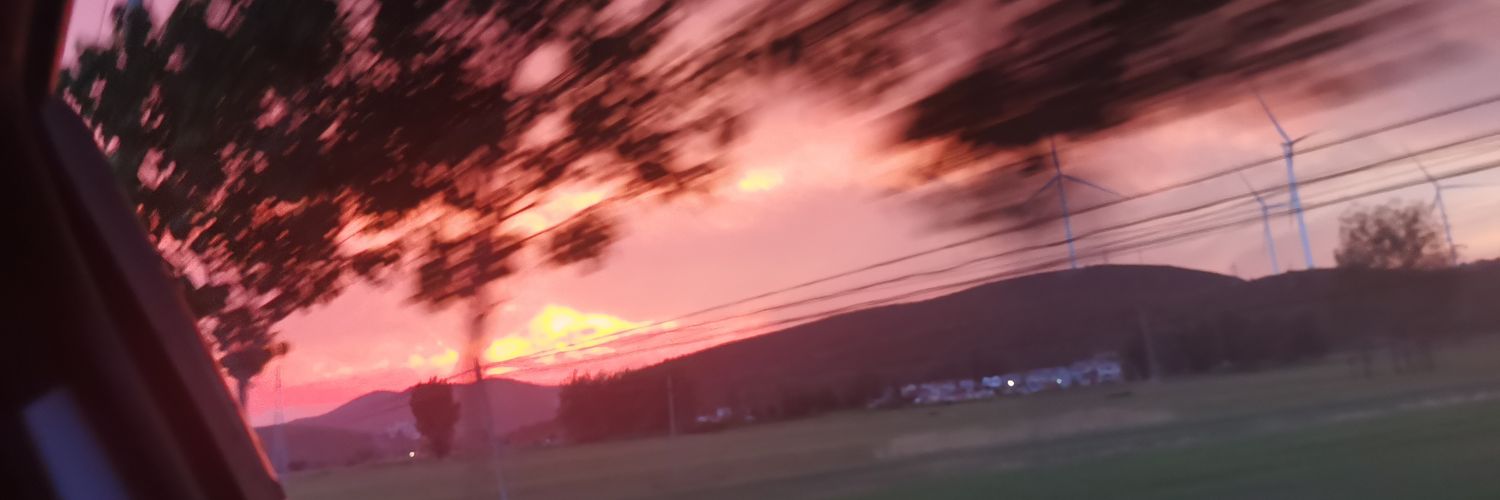 ✨Sankmo莫莫✨ banner