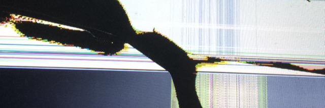 _weebler's profile banner image