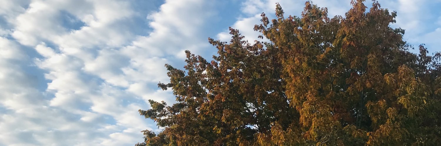 ❤️ banner