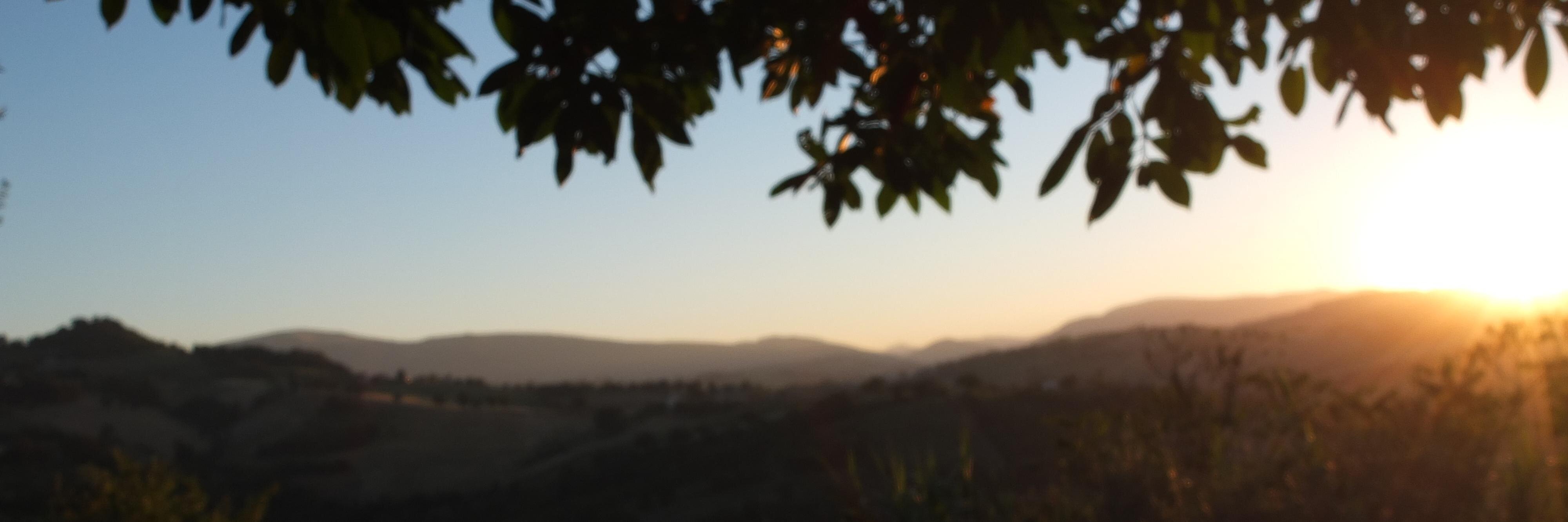 paul_mitchell26's profile banner image