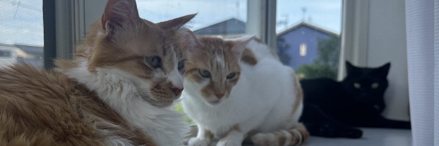 アル@猫屋敷 banner