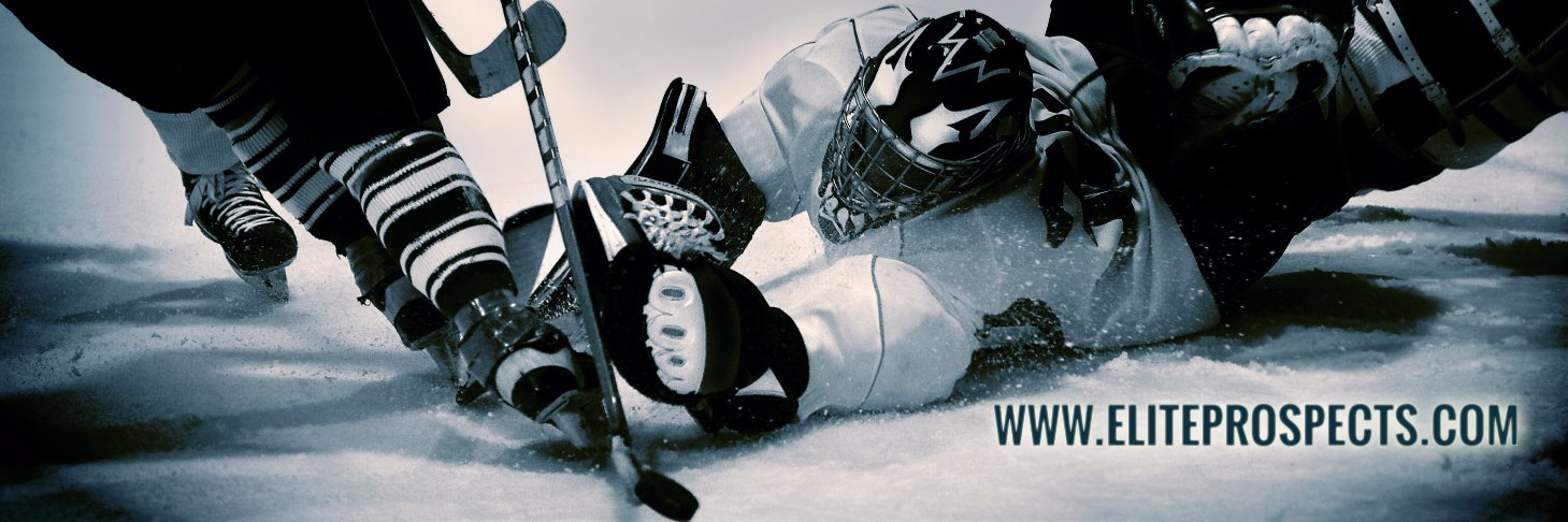 Armin Biedermann 🏒🇪🇺 banner