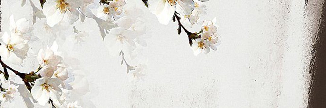 eli banner