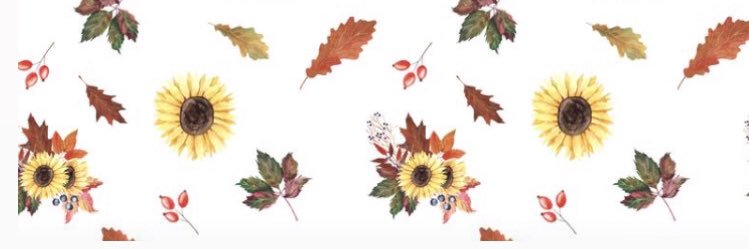 Emelypgf's profile banner image