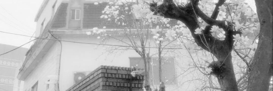 Mian_ui's profile banner image