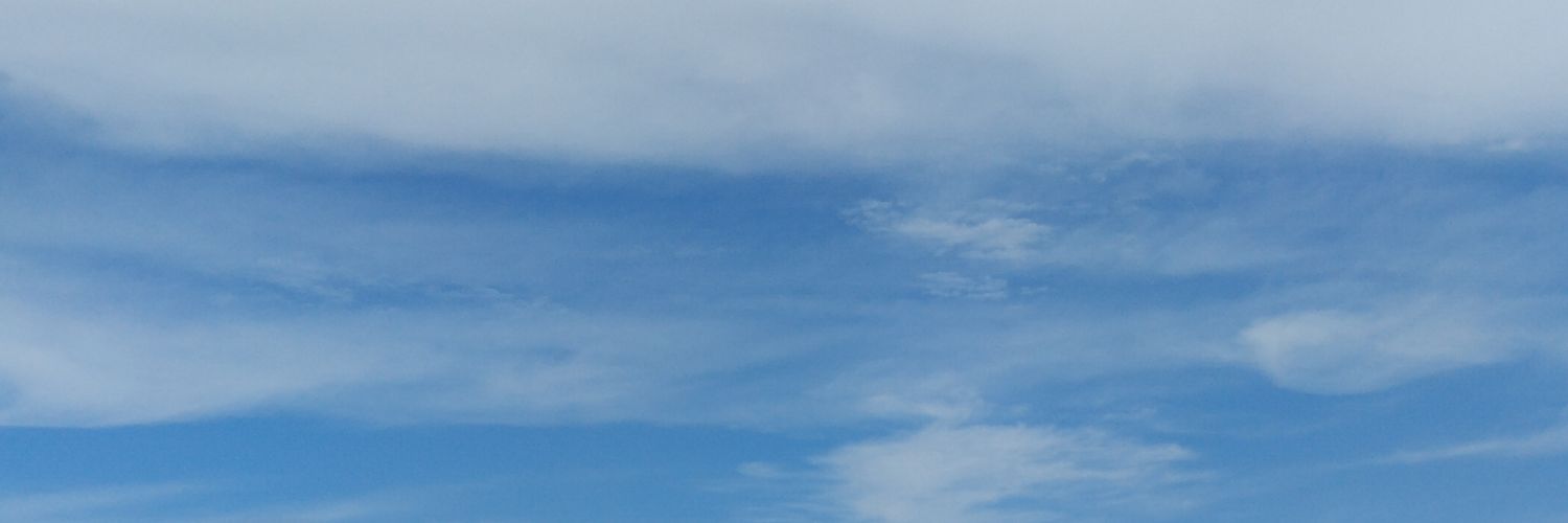 tarr banner