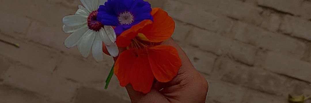 S_ U_ banner