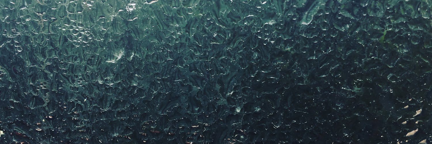vincesel's profile banner image