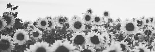 Jess_1803's profile banner image