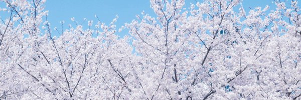 moona_wa Profile Banner