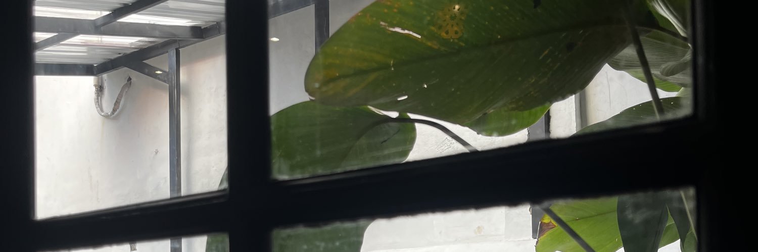 zowray banner