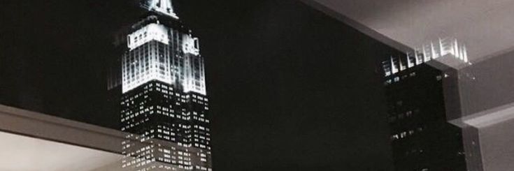 liz banner