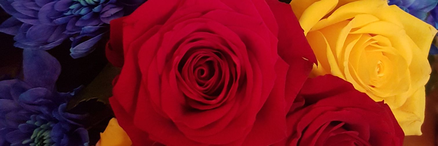 EstelleSawsco's profile banner image