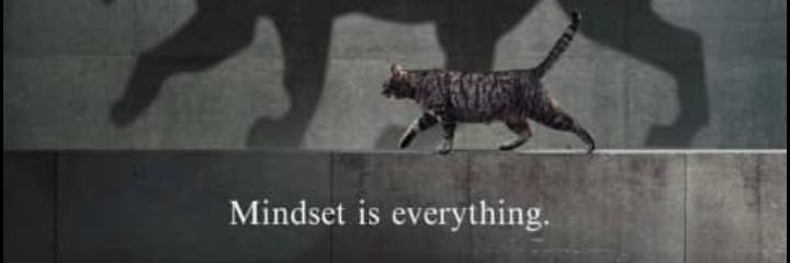 okp69435's profile banner image