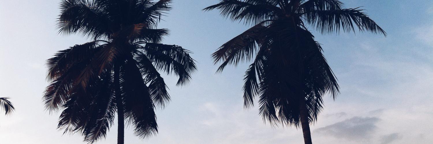d_n_ro's profile banner image