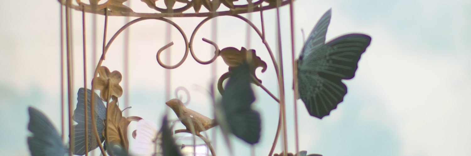 iroiro_0x0's profile banner image
