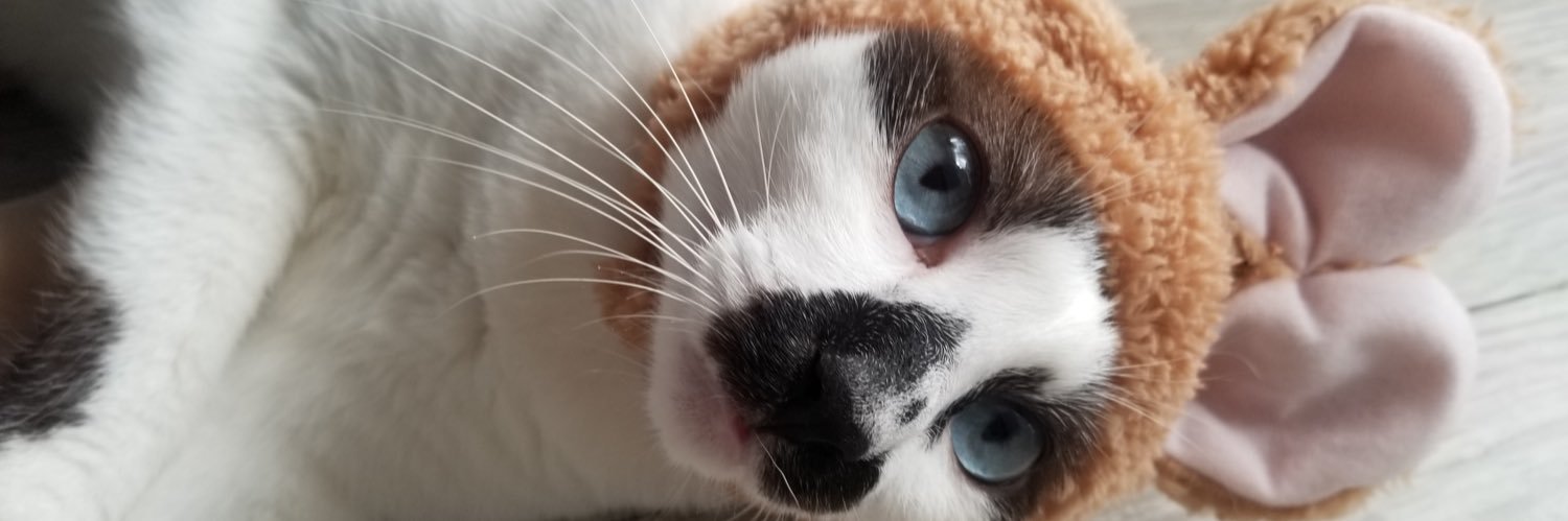 しらいし banner