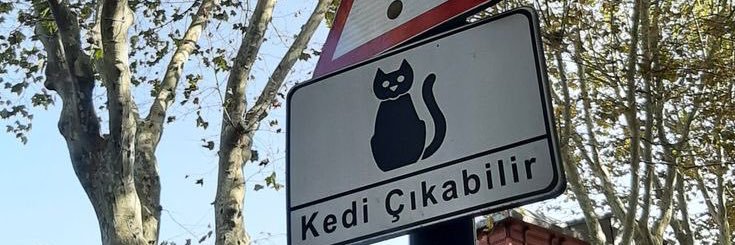EylemÜmitAtılganAKAeylemselalan's banner