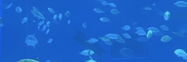 iku_a1 Profile Banner