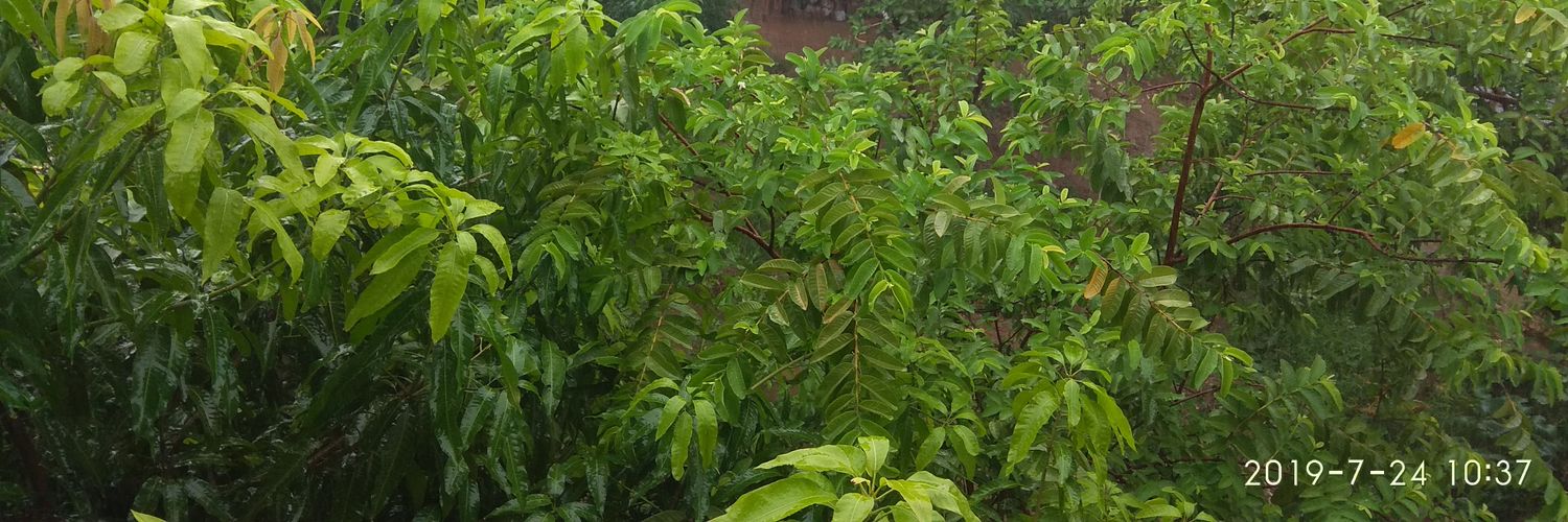 hemant2343's profile banner image