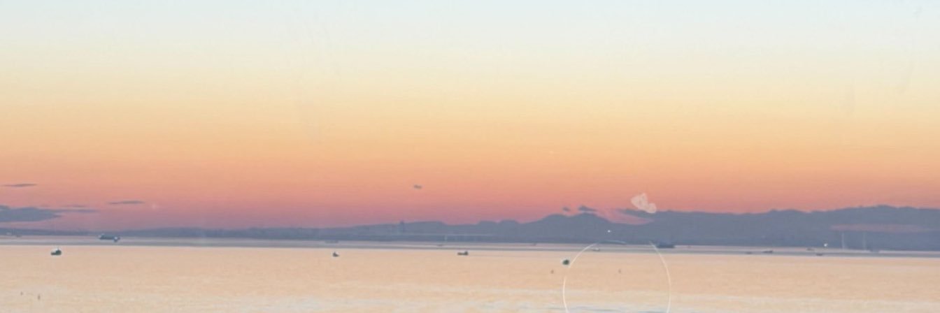 ed banner