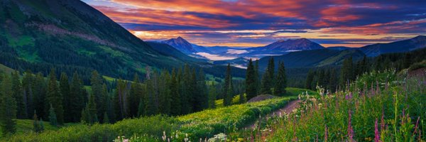 9NEWS Profile Banner