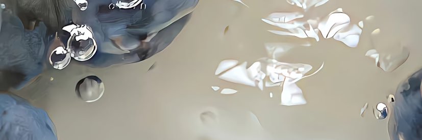 Amal Ali banner