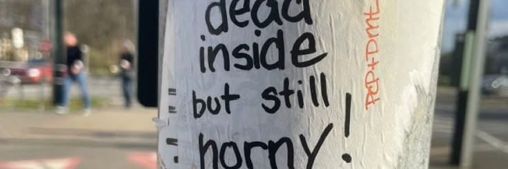 Bull34 banner