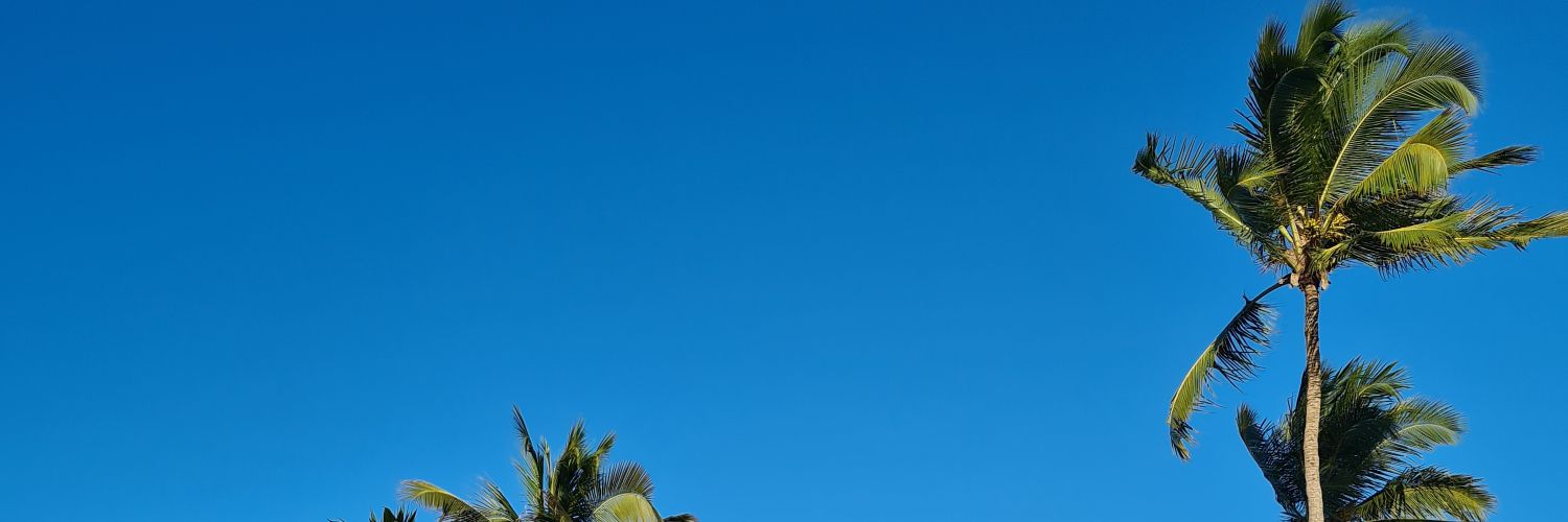 FeAMSilva's profile banner image
