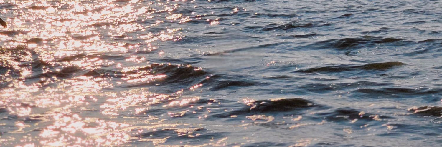 다냐 (DaNya) banner