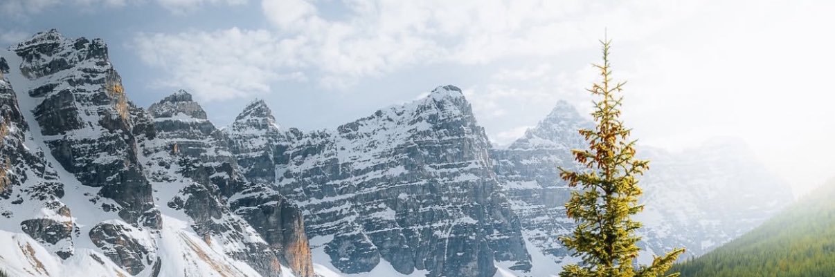 ICON banner