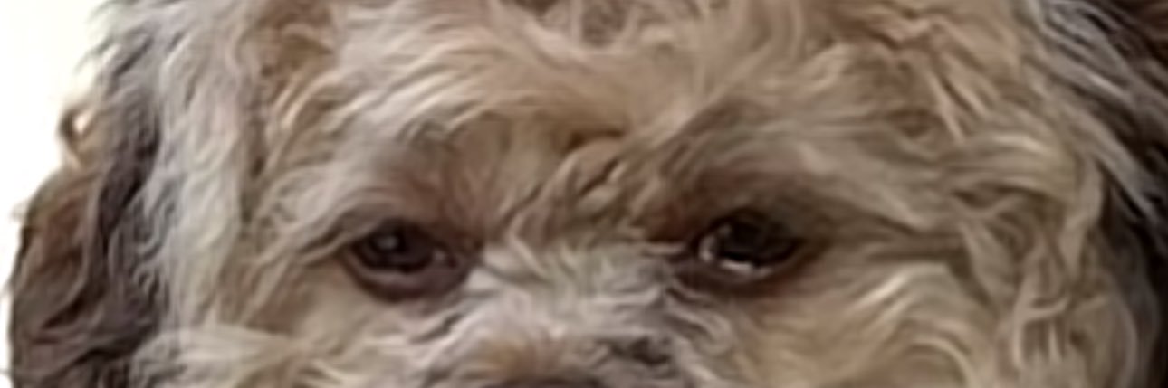 xander_mx1's profile banner image