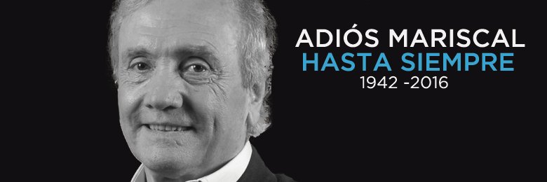 Maximiliano Grillo 💚💜 banner