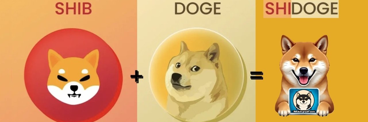 SHIDOGE banner