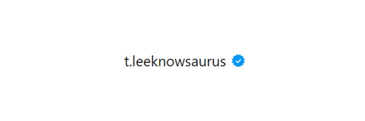 lee know banner
