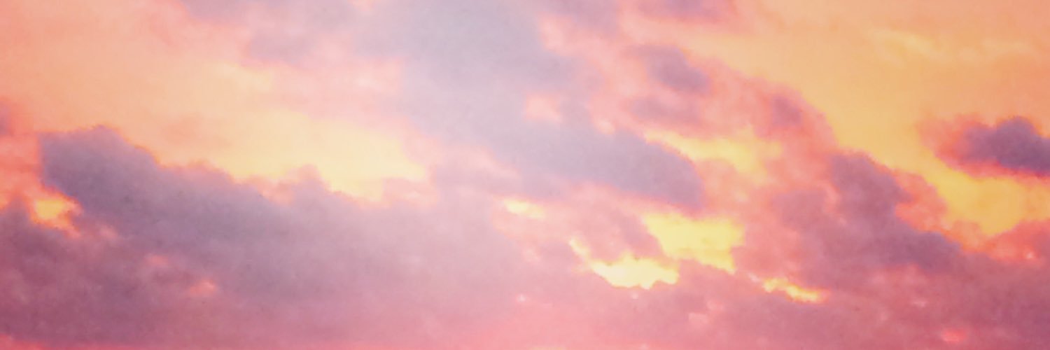 lizziewdc's profile banner image