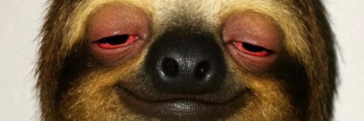 ズ几ㄖ山丂卂𓃵 banner