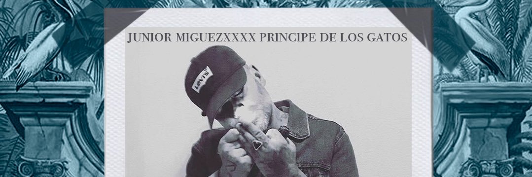 JuniorMiguez's profile banner image