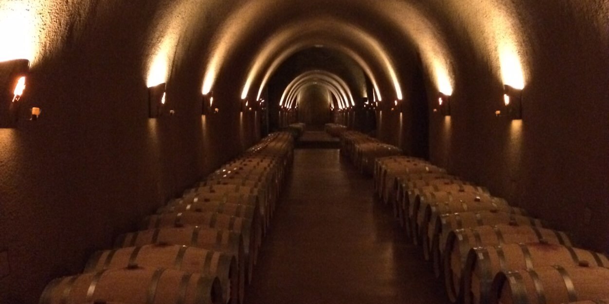 Michael Letschin banner