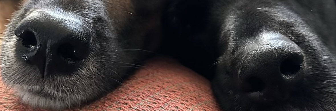 TotallyTinaB's profile banner image