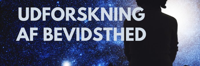 Anja Lysholm banner