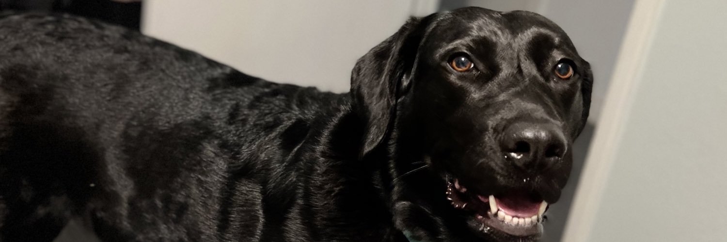 trenttweets's profile banner image