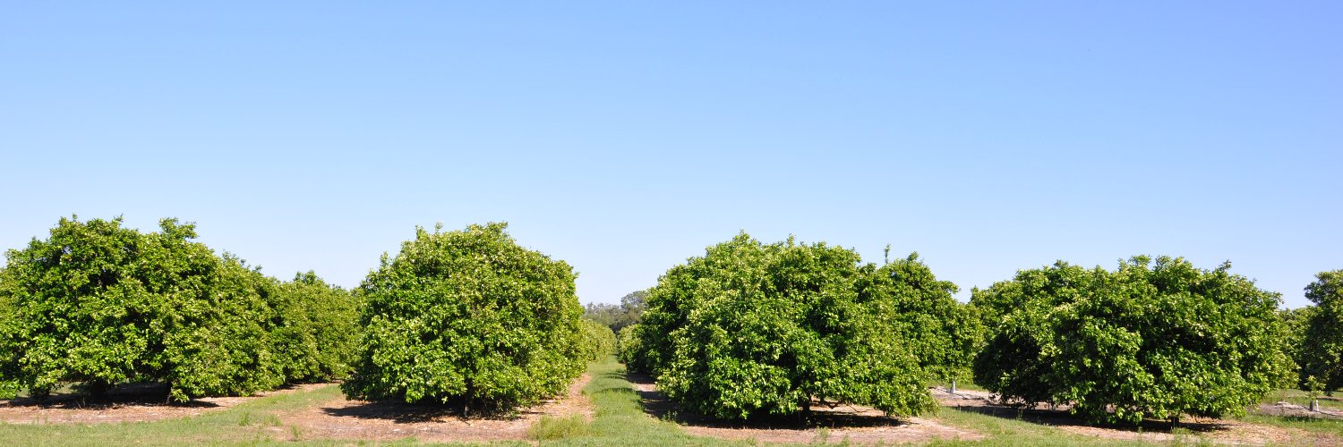 FL Citrus Mutual banner