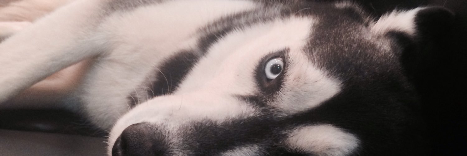 akemibruh's profile banner image