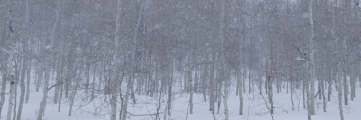 serpsquatch's profile banner image