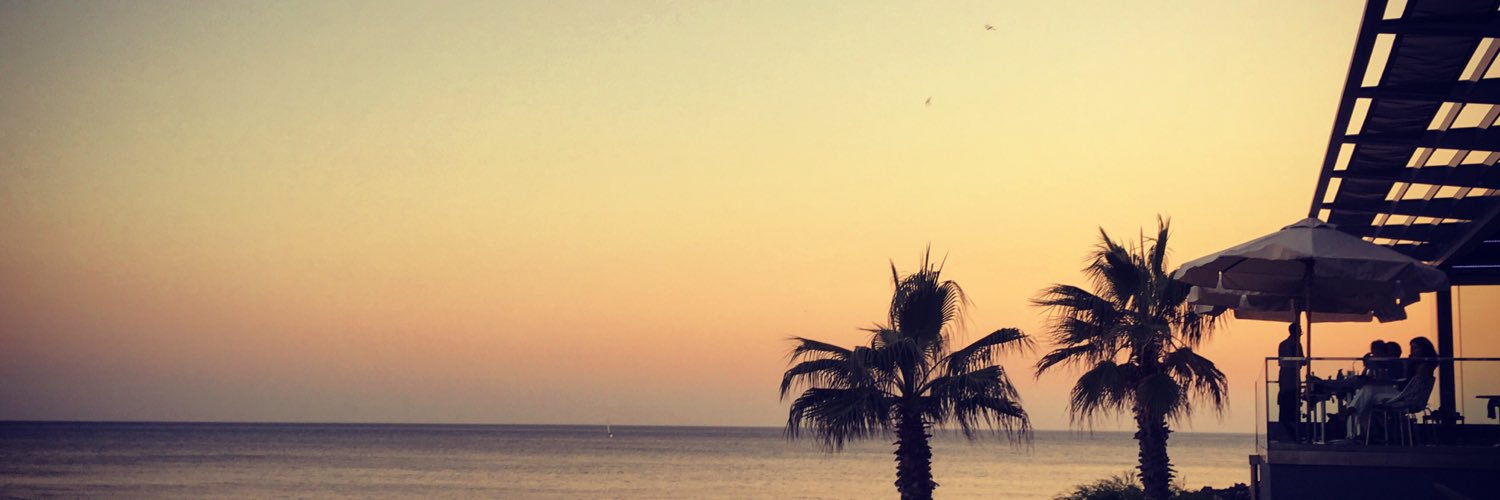 Rui_Castro's profile banner image